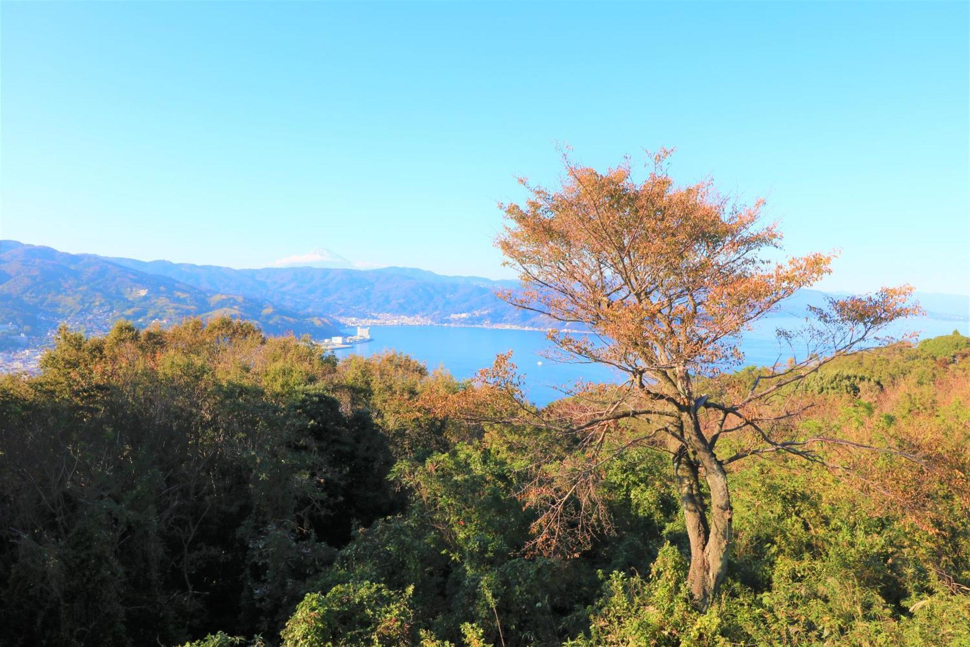 Oceanic House Tamatebako